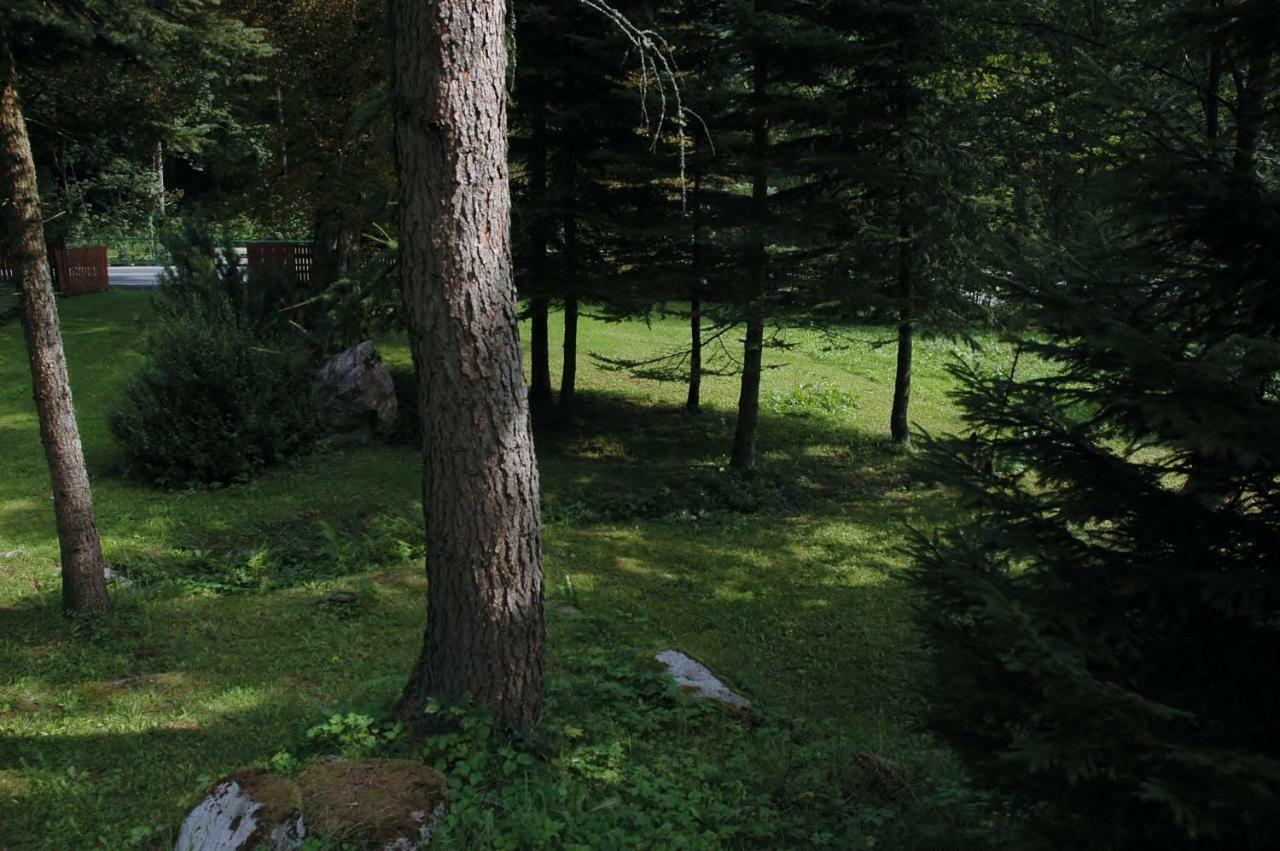 Villa Orli Hnizdo Černý Důl Exterior foto