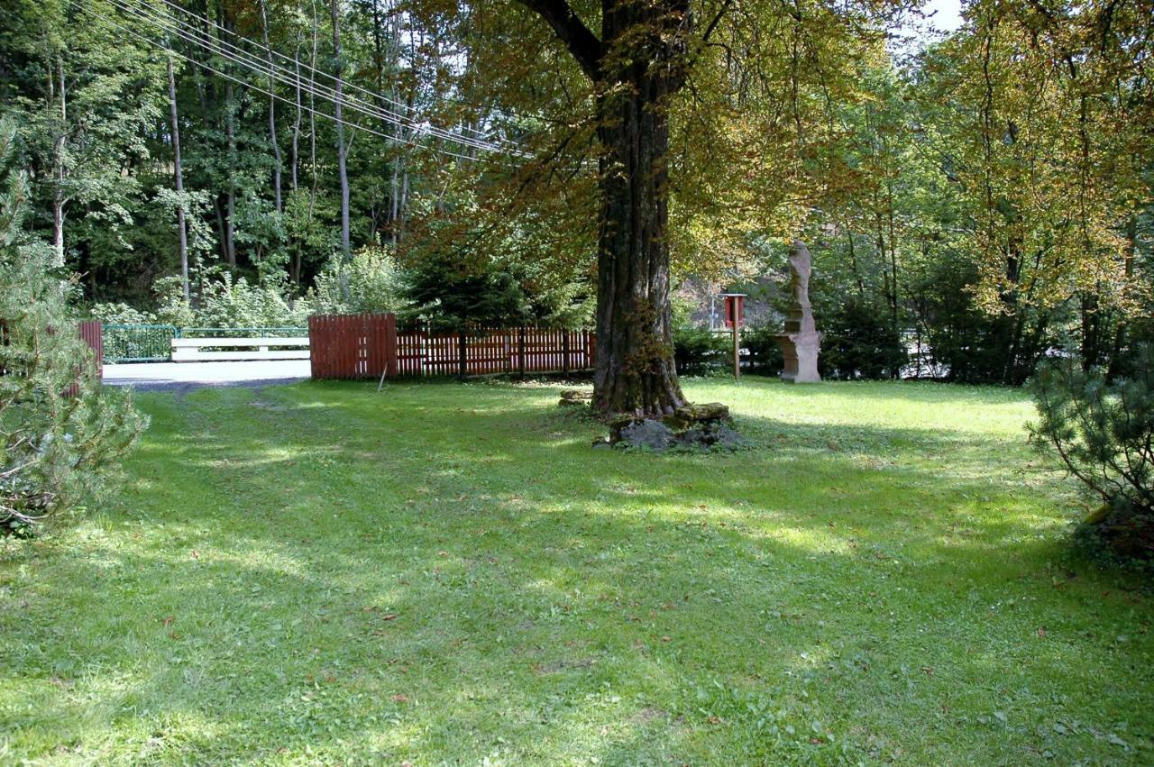Villa Orli Hnizdo Černý Důl Exterior foto