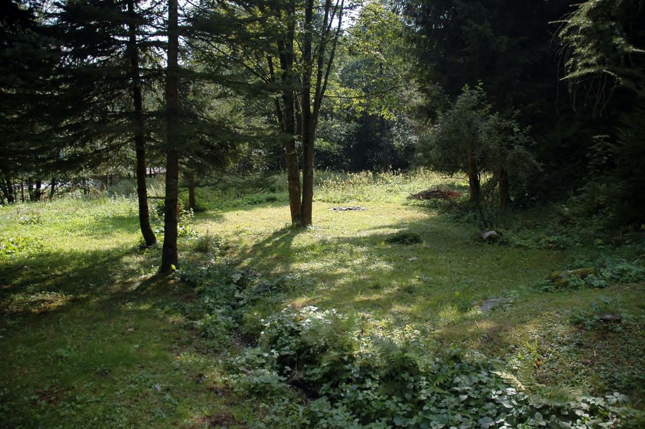 Villa Orli Hnizdo Černý Důl Exterior foto