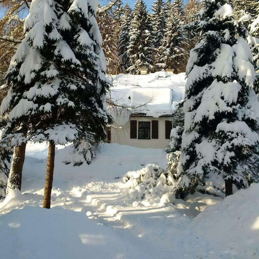 Villa Orli Hnizdo Černý Důl Exterior foto