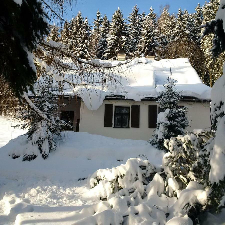 Villa Orli Hnizdo Černý Důl Exterior foto
